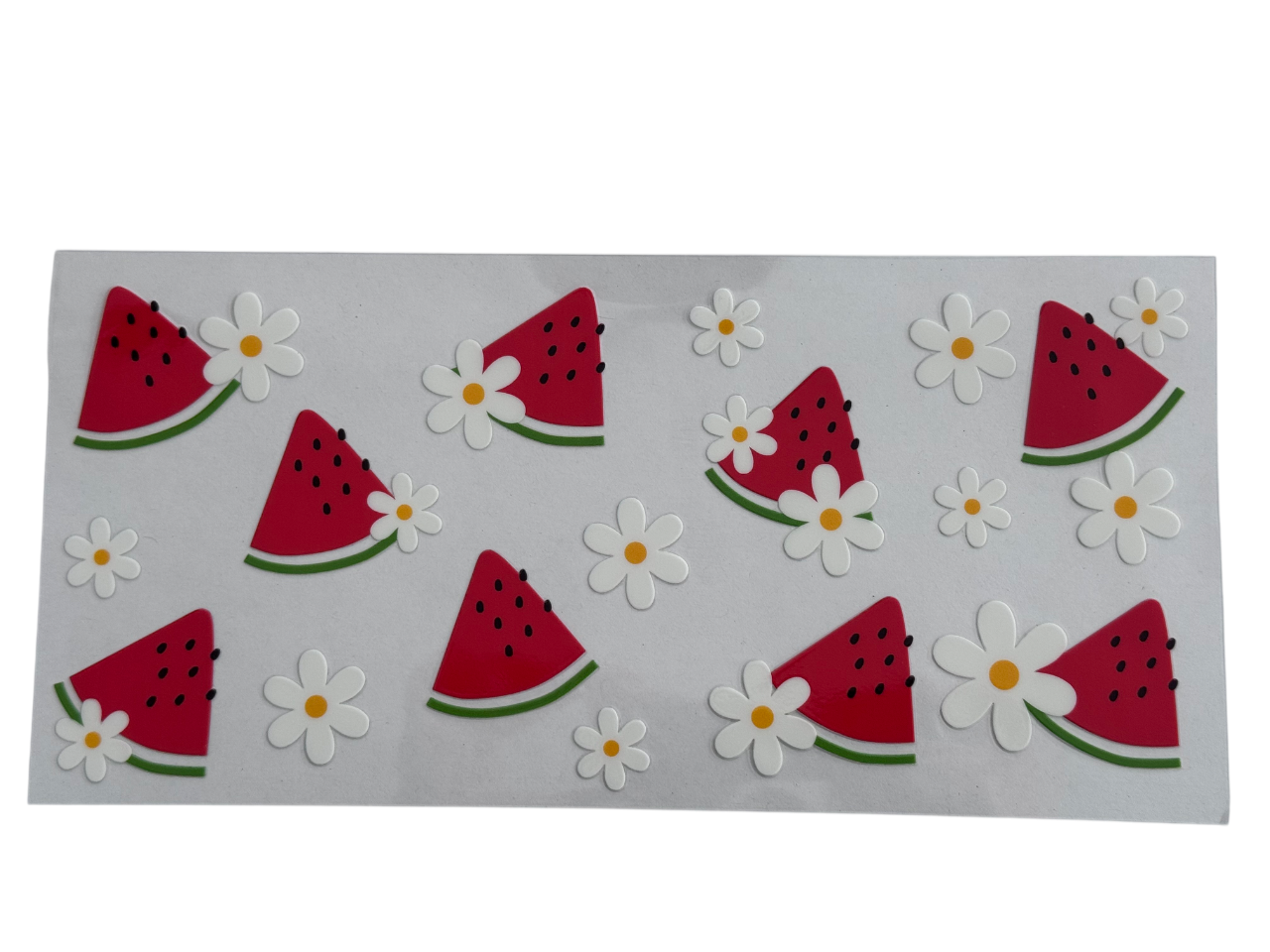 #1023 Watermelon and Daisies