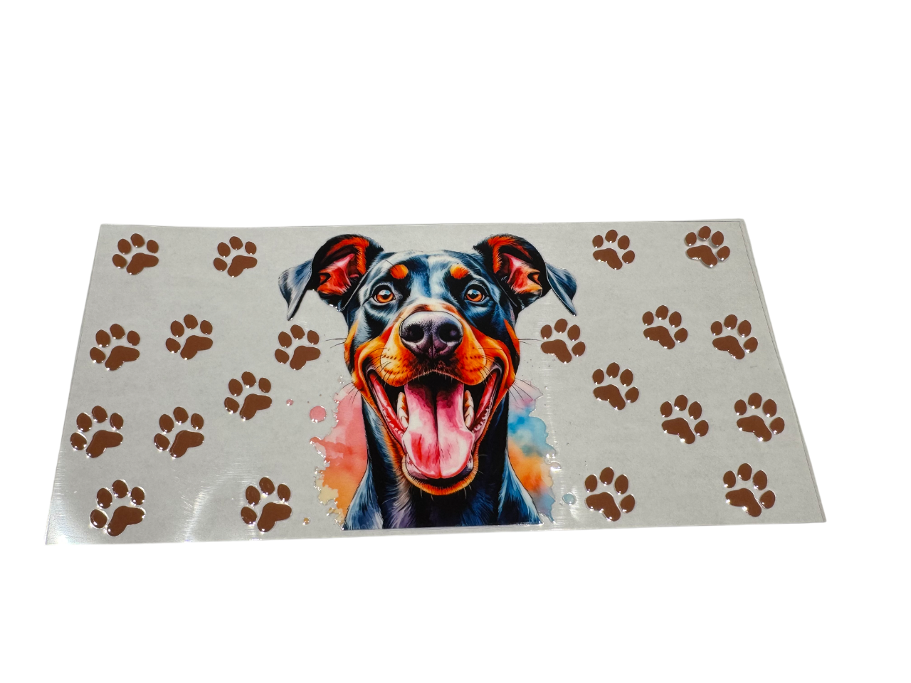 #504 Doberman