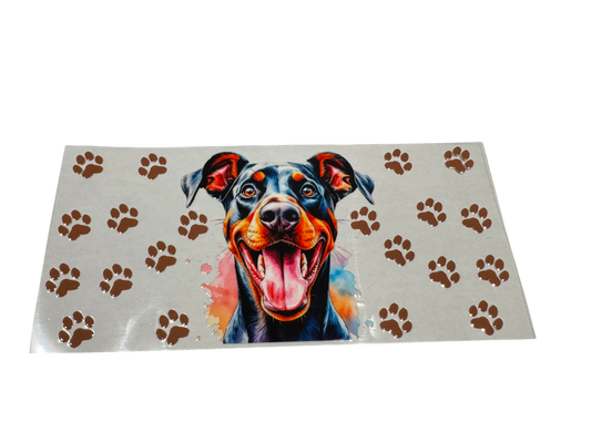 #504 Doberman
