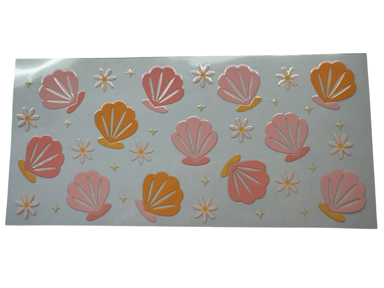 #531 Shells