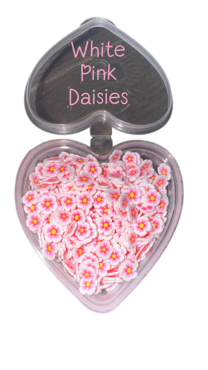 White Pink Daisies